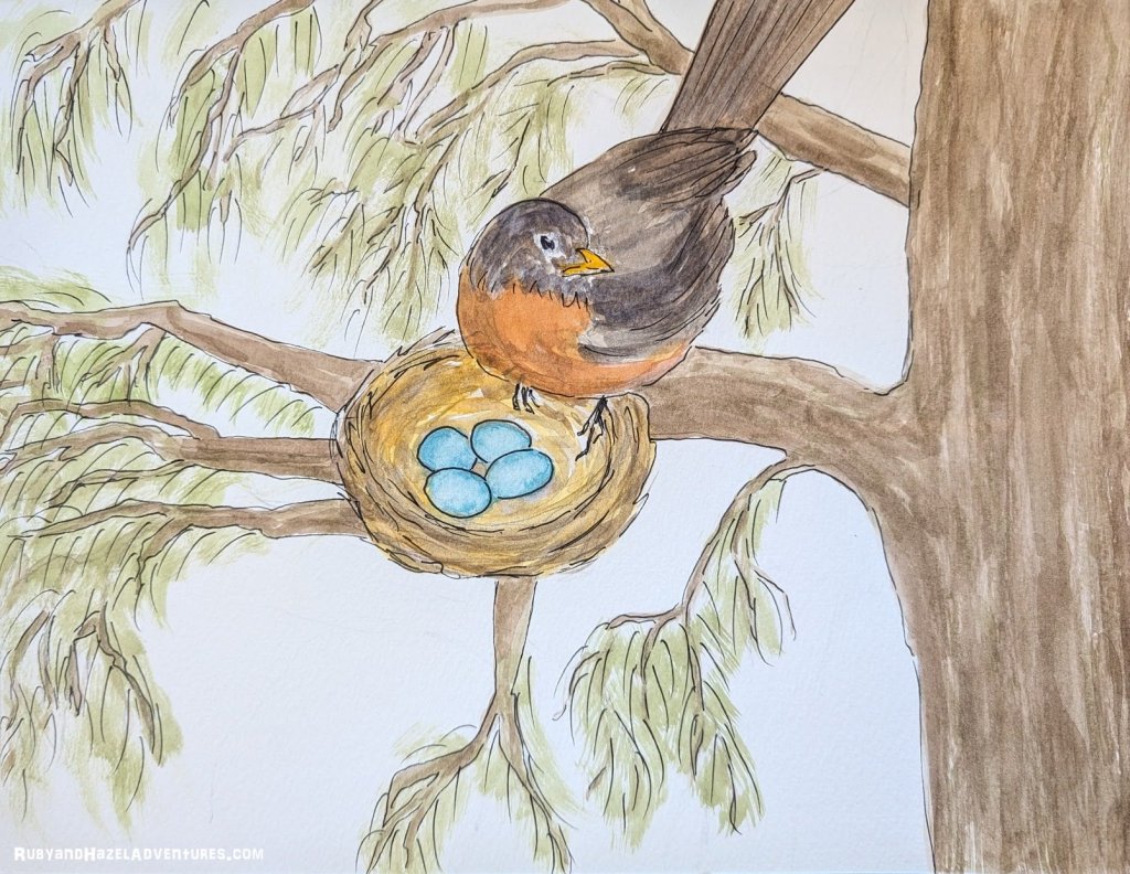 The robin. RubyandHazelAdventures.com